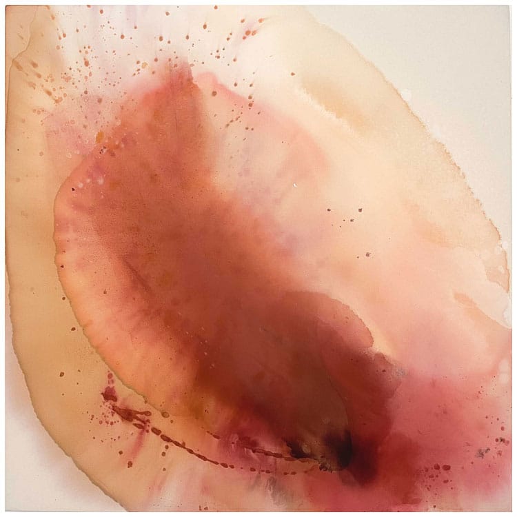 A Life Within A Life