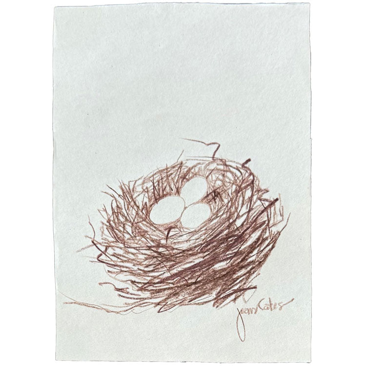 Nest - Three Eggs