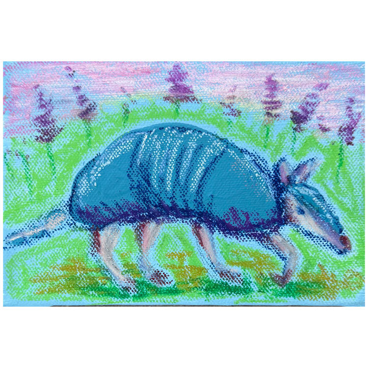 Armadillo Scouts #1