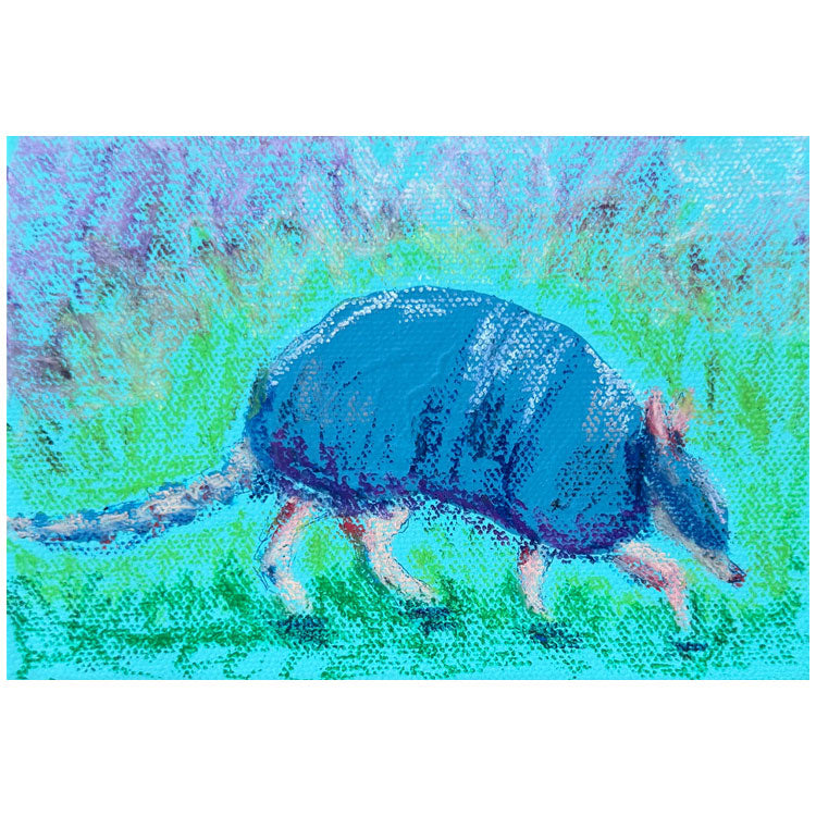 Armadillo Scouts #2