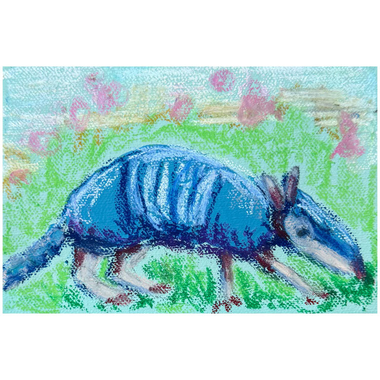 Armadillo Scouts #3