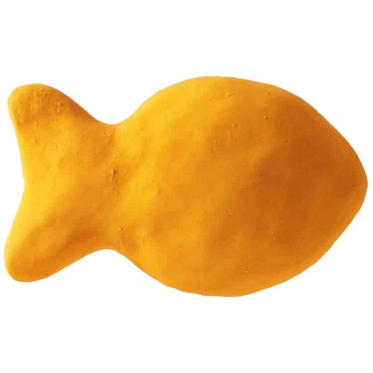 Goldfish - Orange