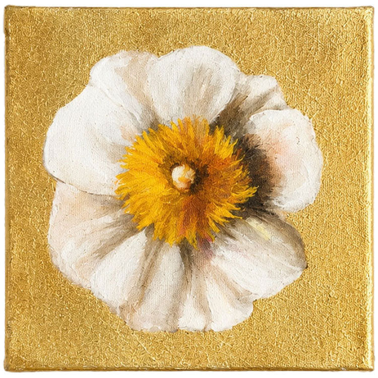 Peony Study