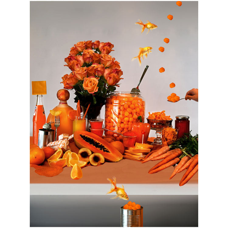 Photography: Shelter In Orange