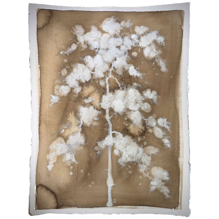 Umber Cloud Pine II