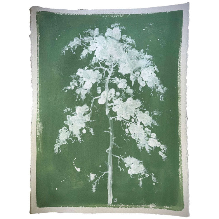Verdant Pine II