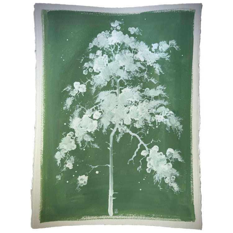 Verdant Pine